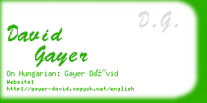 david gayer business card